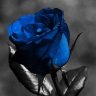blackblue